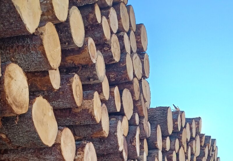 Einigung zu Lohnerhöhung 2025 ist erzielt 